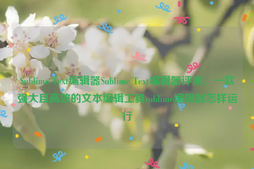 Sublime Text编辑器Sublime Text编辑器评测，一款强大且高效的文本编辑工具sublime编辑器怎样运行