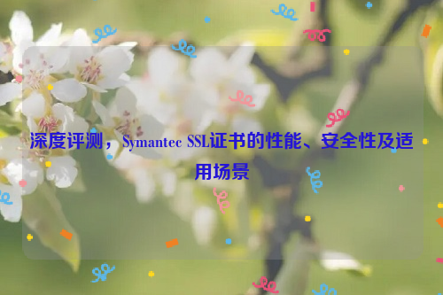 深度评测，Symantec SSL证书的性能、安全性及适用场景