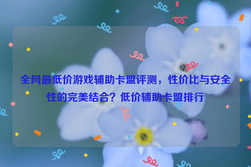 全网最低价游戏辅助卡盟评测，性价比与安全性的完美结合？低价辅助卡盟排行