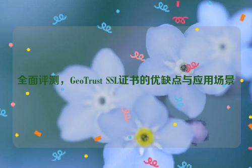 全面评测，GeoTrust SSL证书的优缺点与应用场景