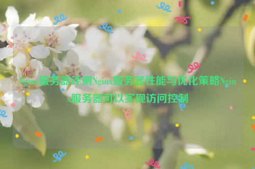 Nginx服务器评测Nginx服务器性能与优化策略Nginx服务器可以实现访问控制