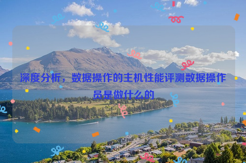 深度分析，数据操作的主机性能评测数据操作员是做什么的