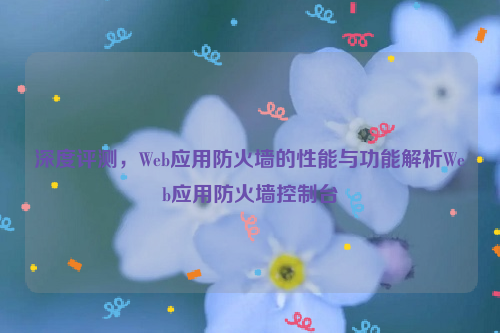 深度评测，Web应用防火墙的性能与功能解析Web应用防火墙控制台