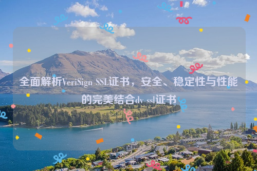 全面解析VeriSign SSL证书，安全、稳定性与性能的完美结合dv ssl证书