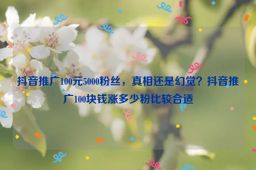 抖音推广100元5000粉丝，真相还是幻觉？抖音推广100块钱涨多少粉比较合适