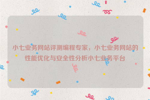 小七业务网站评测编程专家，小七业务网站的性能优化与安全性分析小七业务平台