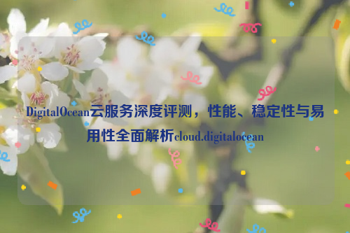 DigitalOcean云服务深度评测，性能、稳定性与易用性全面解析cloud.digitalocean