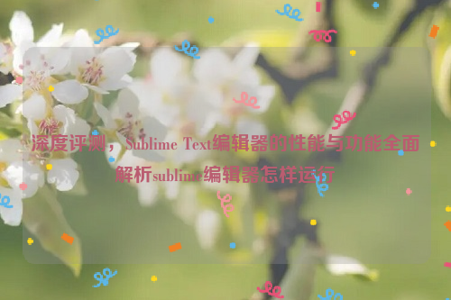 深度评测，Sublime Text编辑器的性能与功能全面解析sublime编辑器怎样运行