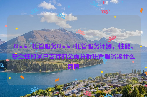 Bluehost托管服务Bluehost托管服务评测，性能、安全性和客户支持的全面分析托管服务器什么意思