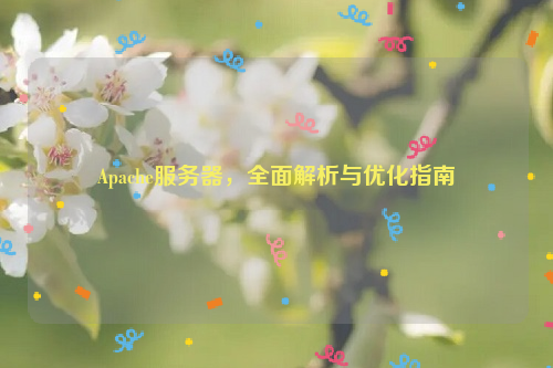 Apache服务器，全面解析与优化指南