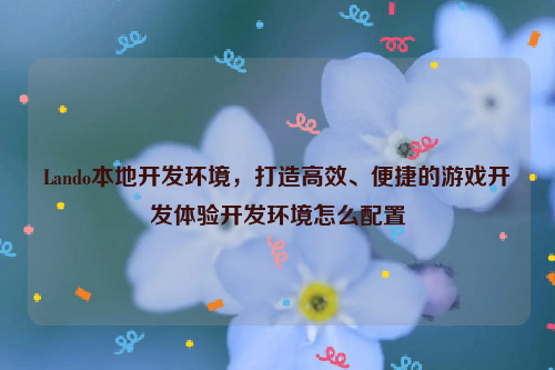 Lando本地开发环境，打造高效、便捷的游戏开发体验开发环境怎么配置