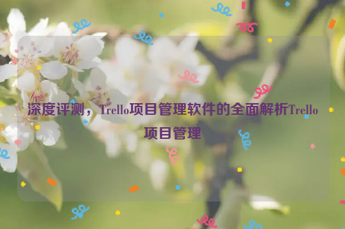 深度评测，Trello项目管理软件的全面解析Trello项目管理