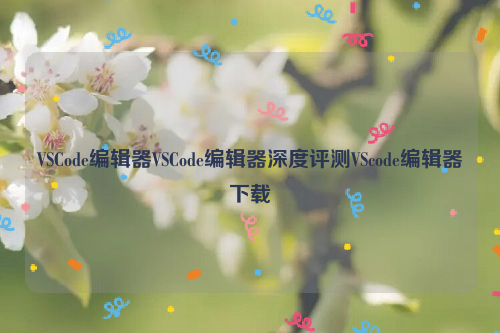 VSCode编辑器VSCode编辑器深度评测VScode编辑器下载