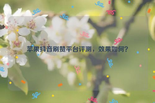 苹果抖音刷赞平台评测，效果如何？