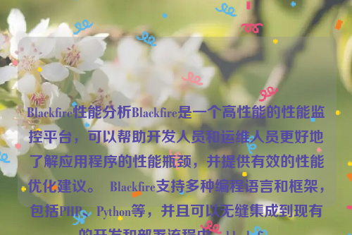 Blackfire性能分析Blackfire是一个高性能的性能监控平台，可以帮助开发人员和运维人员更好地了解应用程序的性能瓶颈，并提供有效的性能优化建议。  Blackfire支持多种编程语言和框架，包括PHP、Python等，并且可以无缝集成到现有的开发和部署流程中。black fire