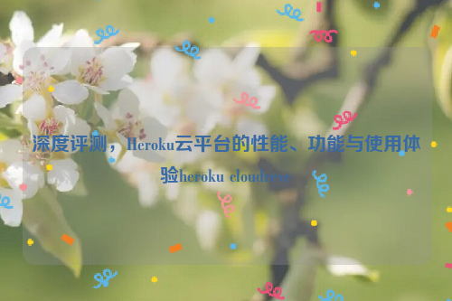 深度评测，Heroku云平台的性能、功能与使用体验heroku cloudreve