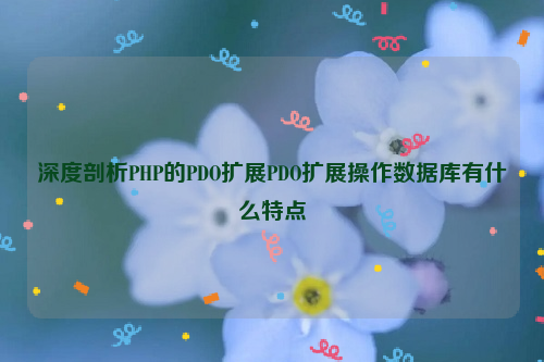 深度剖析PHP的PDO扩展PDO扩展操作数据库有什么特点