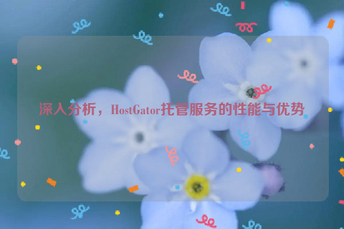 深入分析，HostGator托管服务的性能与优势