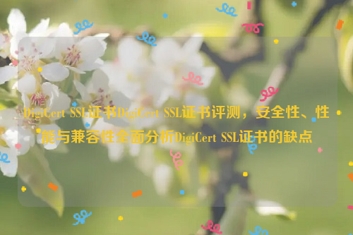 DigiCert SSL证书DigiCert SSL证书评测，安全性、性能与兼容性全面分析DigiCert SSL证书的缺点