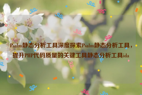 Psalm静态分析工具深度探索Psalm静态分析工具，提升PHP代码质量的关键工具静态分析工具ida