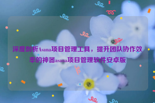 深度剖析Asana项目管理工具，提升团队协作效率的神器asana项目管理软件安卓版