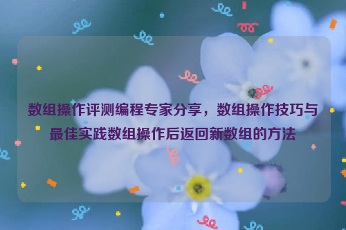 数组操作评测编程专家分享，数组操作技巧与最佳实践数组操作后返回新数组的方法