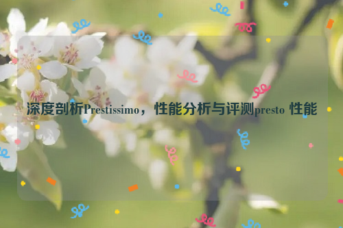 深度剖析Prestissimo，性能分析与评测presto 性能