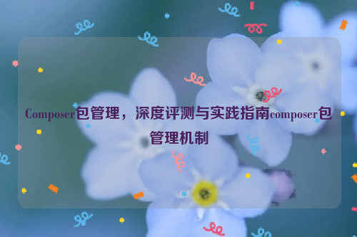 Composer包管理，深度评测与实践指南composer包管理机制