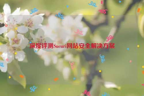 深度评测Sucuri网站安全解决方案