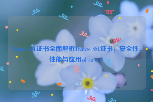 Thawte SSL证书全面解析Thawte SSL证书，安全性、性能与应用ssl ca cert