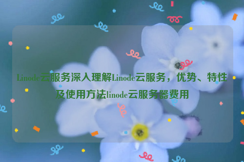 Linode云服务深入理解Linode云服务，优势、特性及使用方法linode云服务器费用