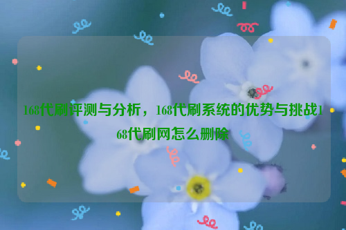 168代刷评测与分析，168代刷系统的优势与挑战168代刷网怎么删除