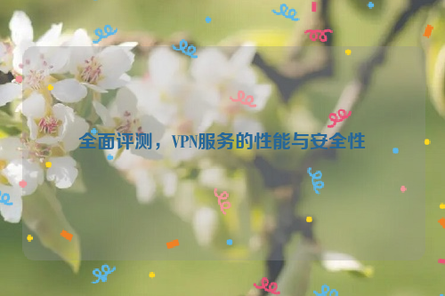 全面评测，VPN服务的性能与安全性