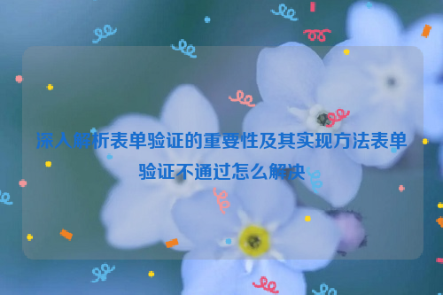 深入解析表单验证的重要性及其实现方法表单验证不通过怎么解决