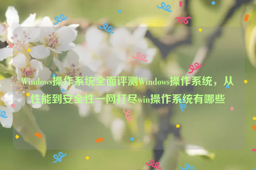 Windows操作系统全面评测Windows操作系统，从性能到安全性一网打尽win操作系统有哪些