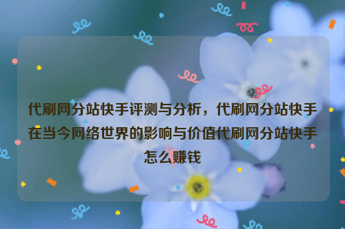 代刷网分站快手评测与分析，代刷网分站快手在当今网络世界的影响与价值代刷网分站快手怎么赚钱