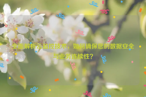 全面解析云监控技术，如何确保您的数据安全与业务连续性？