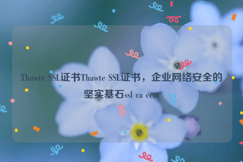 Thawte SSL证书Thawte SSL证书，企业网络安全的坚实基石ssl ca cert