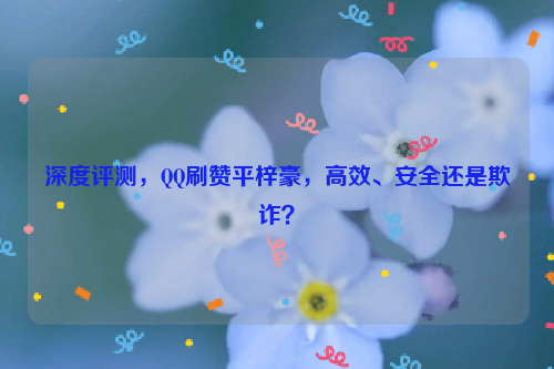 深度评测，QQ刷赞平梓豪，高效、安全还是欺诈？