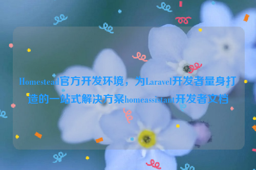 Homestead官方开发环境，为Laravel开发者量身打造的一站式解决方案homeassistant开发者文档