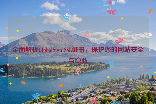 全面解析GlobalSign SSL证书，保护您的网站安全与隐私