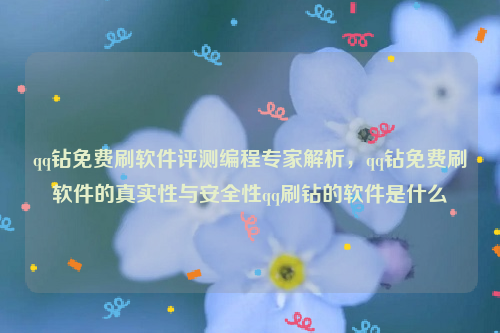 qq钻免费刷软件评测编程专家解析，qq钻免费刷软件的真实性与安全性qq刷钻的软件是什么