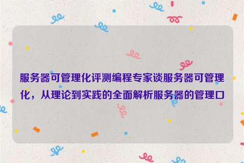 服务器可管理化评测编程专家谈服务器可管理化，从理论到实践的全面解析服务器的管理口