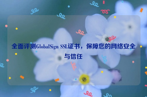 全面评测GlobalSign SSL证书，保障您的网络安全与信任