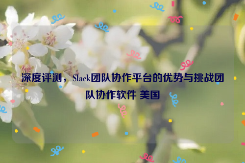 深度评测，Slack团队协作平台的优势与挑战团队协作软件 美国