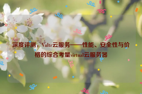 深度评测，Vultr云服务——性能、安全性与价格的综合考量virtual云服务器