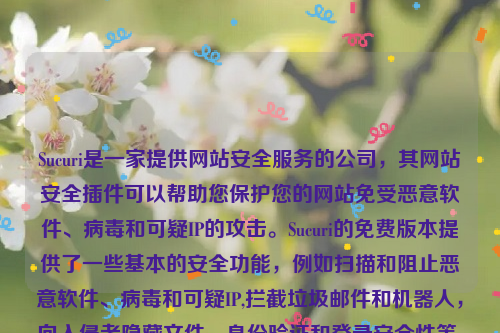 Sucuri是一家提供网站安全服务的公司，其网站安全插件可以帮助您保护您的网站免受恶意软件、病毒和可疑IP的攻击。Sucuri的免费版本提供了一些基本的安全功能，例如扫描和阻止恶意软件、病毒和可疑IP,拦截垃圾邮件和机器人，向入侵者隐藏文件，身份验证和登录安全性等 。