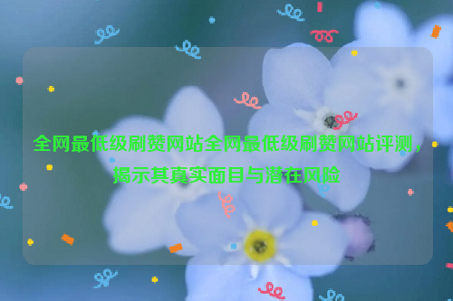 全网最低级刷赞网站全网最低级刷赞网站评测，揭示其真实面目与潜在风险