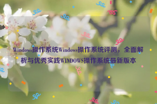 Windows操作系统Windows操作系统评测，全面解析与优秀实践WINDOWS操作系统最新版本