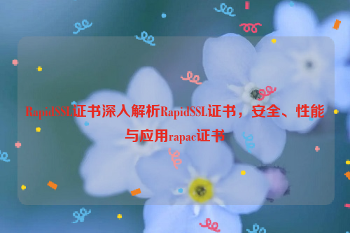 RapidSSL证书深入解析RapidSSL证书，安全、性能与应用rapac证书